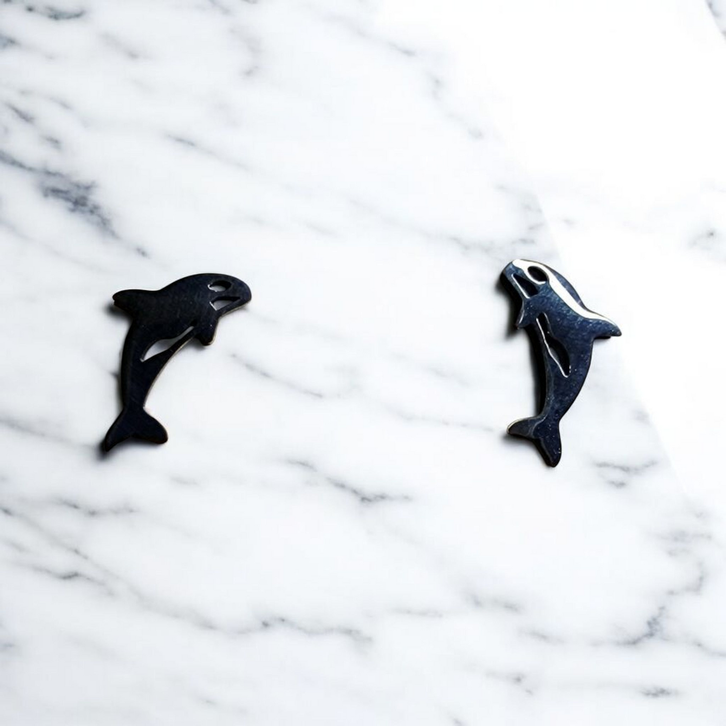 Black Orca Titanium Stainless Steel Studs