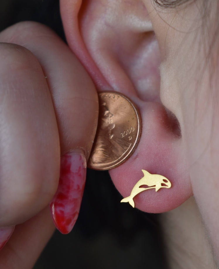 Orca Titanium Stainless Steel Stud Earrings